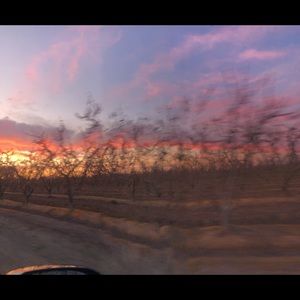 Meet your Posher, Leann